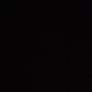 Meet your Posher, Fawn